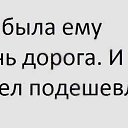 ���� ��������, ���������, 45 ��� - ��������� 20 ��� 2014 � ������ ������ ��������