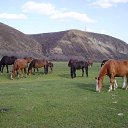 ����� � ����������.. ������ ������... ����-����! ��������� ! �� ������� ������� ������ � ���..�