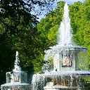 ������� �������. �������� �� ������� �������������