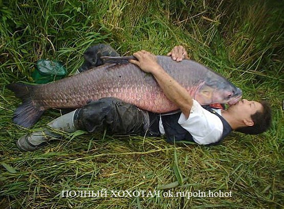 А жена думает что муж водку пьёт на рыбалке, а он с русалкой зажигает)))