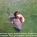 ���� ����, ������ �������� - ��������� 24 ���� 2014 � ������ ������ ��������