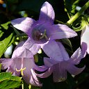 ���� 2014 �� ������� �� ��� - ��������!!!)))�