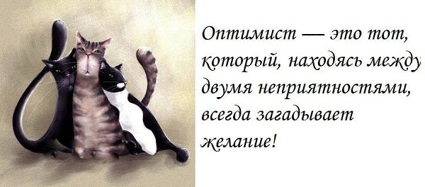  ( ) - 1  2014  03:37