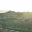 ���� ��������, �����-���������, 65 ��� - ��������� 11 ���� 2014 � ������ ���������� �����