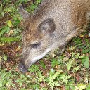 �������� ���� ���� 2014 �� ������� ���� ����������