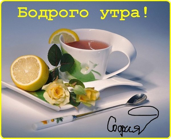 ������ ���� ����!