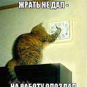 ���� ���������, ������ - ��������� 15 ��� 2014 � ������ ����� �� �������