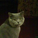 ���� ������, ��������, 55 ��� - ��������� 6 ��� 2014