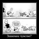 ���� ����, ������ - ��������� 26 ���� 2014 � ������ ������ ��������