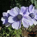  ,  -  26  2014     .