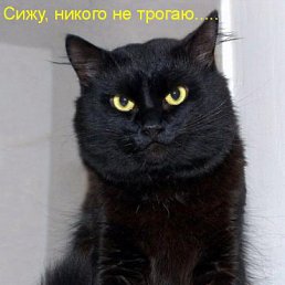 ���� ��������� &reg;, ������ - ��������� 4 ������� 2014