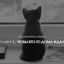 ���� ����, ���������� - ��������� 17 ����� 2014