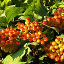 ���� 2014 �� ������� �� ��� - ��������!!!)))�