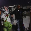 ���� ����, ����, 48 ��� - ��������� 24 ��� 2014 � ������ ������ ��������