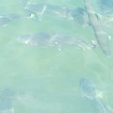 ���� �������, ����, 54 ���� - ��������� 18 ��� 2014 � ������ ����������