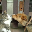 ���� Madam, �����-��������� - ��������� 22 ���� 2014 � ������ ������ ��������