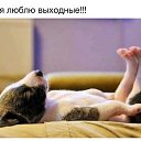 ���� �������, ����, 72 ���� - ��������� 1 ������ 2014 � ������ ������ ��������