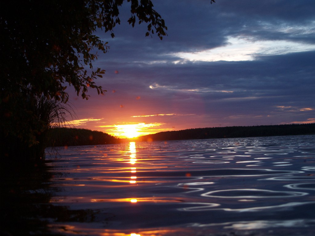 ��������� - 25 ���� 2014 � 00:24