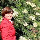  Irina, , 61  -  24  2014