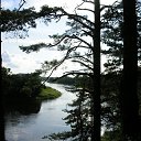     ,  -  31  2014    .  .