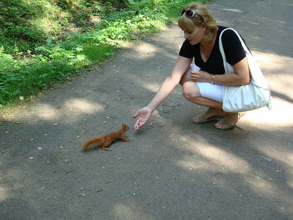   : ... -  ~**~, 49 , -