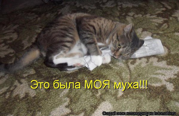 Alex Linadherent - 17  2014  12:55