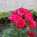 ���� �����, ������ �������� - ��������� 29 ���� 2014 � ������ �2014 ��