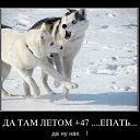 ���� ������, ���������, 43 ���� - ��������� 24 ����� 2014 � ������ ��-��!�