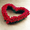 ���� ����, �����, 57 ��� - ��������� 18 ������ 2014 � ������ ������ ��������