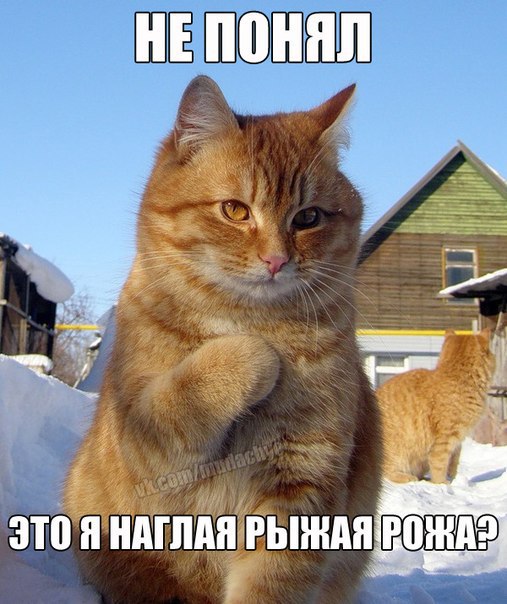  , - 9  2014  15:42