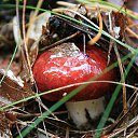 ���� �����, �����, 64 ���� - ��������� 6 ��� 2014 � ������ ������������ ������