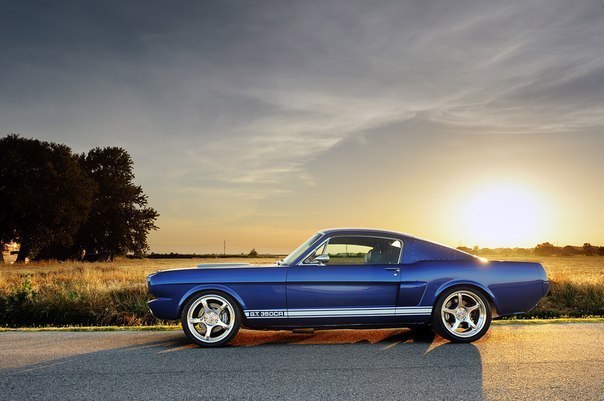 Shelby GT350CR - 5