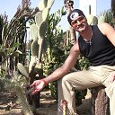 ���� �������, �����-���������, 55 ��� - ��������� 1 ���� 2014 � ������ ���� ����������