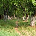  ...,  ...tanya,  -  17  2014    ,  