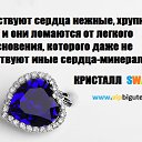 ���� ����, ��������, 48 ��� - ��������� 6 ������� 2014 � ������ ������ ��������