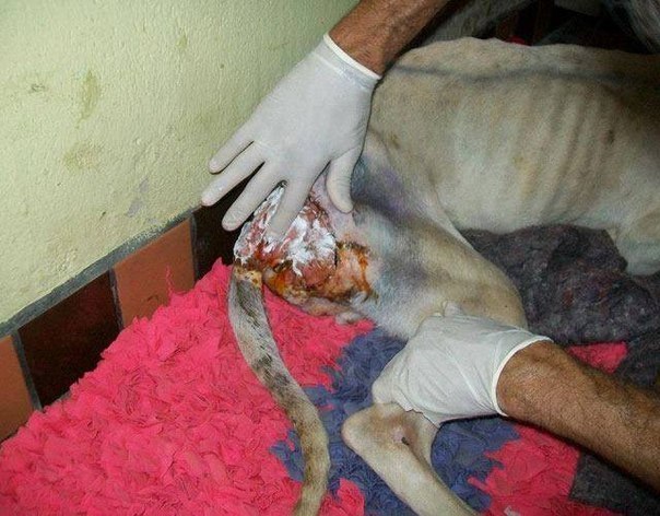 Добрые люди - 5