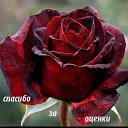  Sergo, , 58  -  5  2014    