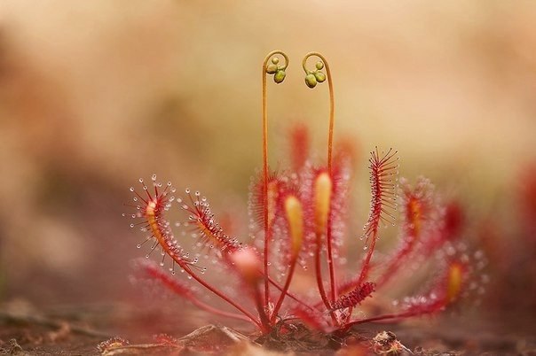   ,   ,  , , .     ...