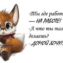 ���� �����, ������� - ��������� 15 ��� 2014 � ������ ������ ��������
