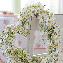 ���� �������, ��������, 55 ��� - ��������� 7 ��� 2014 � ������ ������ ��������