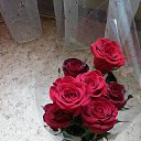���� �����, ������, 44 ���� - ��������� 19 ����� 2014 � ������ ���� ������� �������