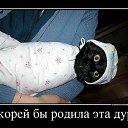  , , 71  -  17  2014      ...