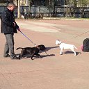  Roxanne, - -  28  2014   --