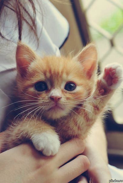 ���� ������! =)