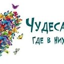 ���� �����, ���������, 43 ���� - ��������� 17 ������ 2014 � ������ ���� ����������