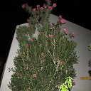 ���� ����������, ������, 58 ��� - ��������� 29 ���� 2014 � ������ ���