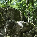 ���� �������, ���������, 54 ���� - ��������� 28 ���� 2014 � ������ ���� ������� 28.06.2014�