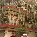  Svetlana, , 59  -  15  2014    2013