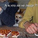 ���� ������� ,���� �����, ����� - ��������� 23 ������ 2014 � ������ ��������