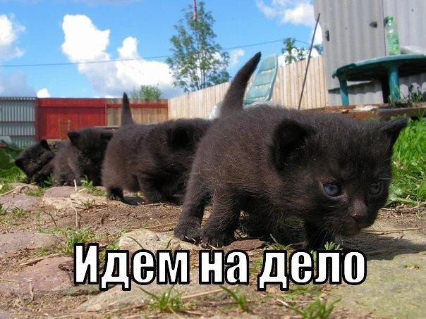  -  - 5  2014  14:49